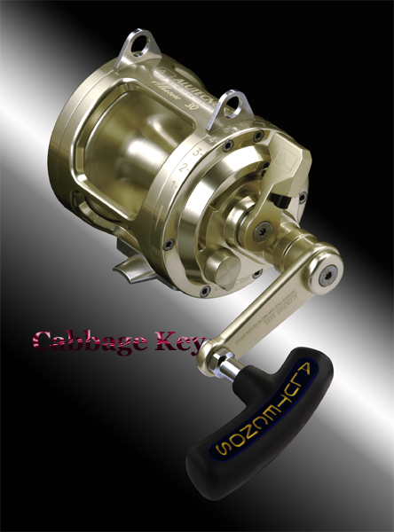 alutecnos albacore 20