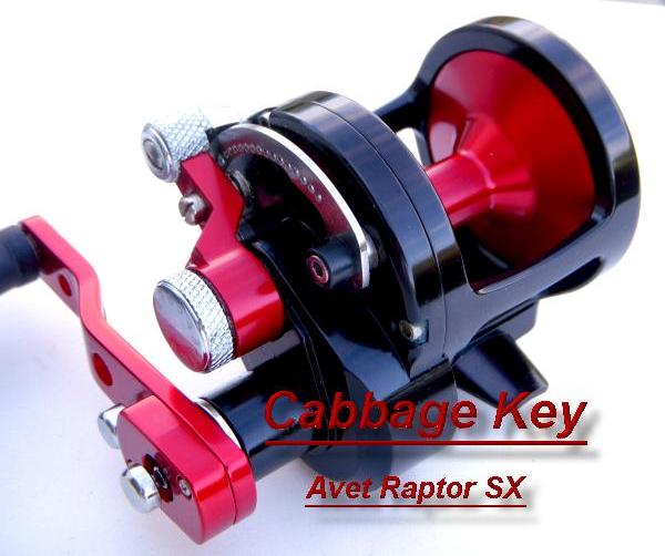Avet Raptor Sx Custom color